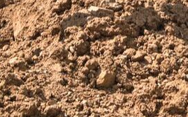 Close up photo of dirt